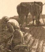 Image for Seventeenth Sunday in Ordinary Time; World Day for Grandparents and the Elderly